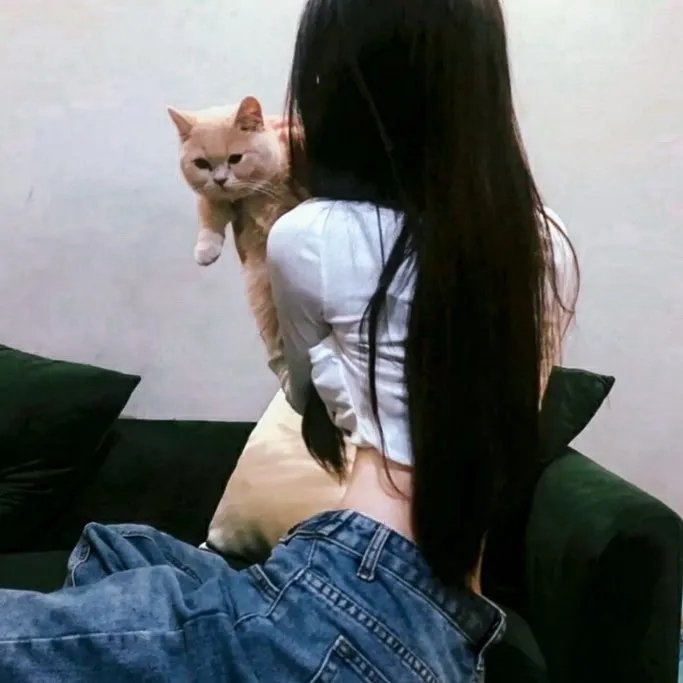 盗毒